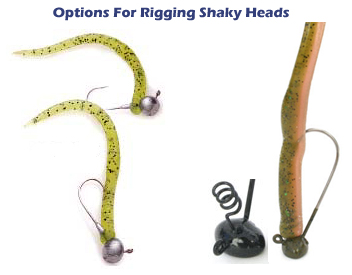 How To Fish A Shaky Head - Everything You Need To Know! (Beginner To  Advanced) 